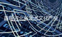 首届河北省武术文化产业发展交流大会展示武术魅力
