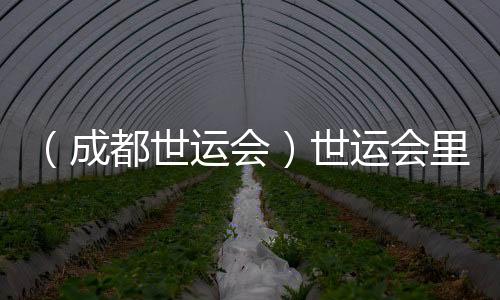 （成都世运会）世运会里的非遗之约♖：东方美学与世界温柔相遇