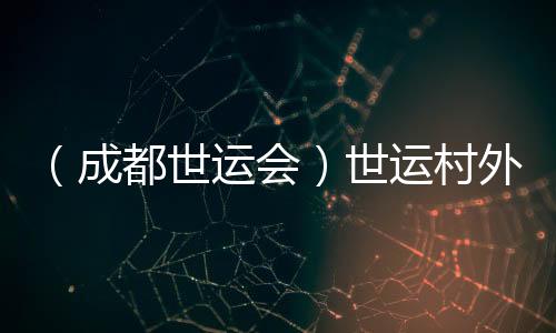 (成都世运会)世运村外的市集🥸:让世界感知“四川心意”