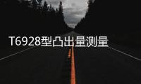 T6928型凸出量测量仪