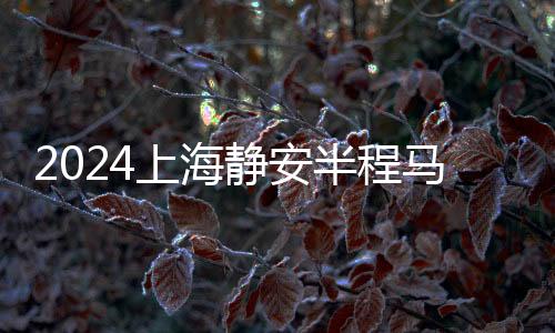 261141330261141334上海静安半程马拉松开跑 逾六成选手来自外省市